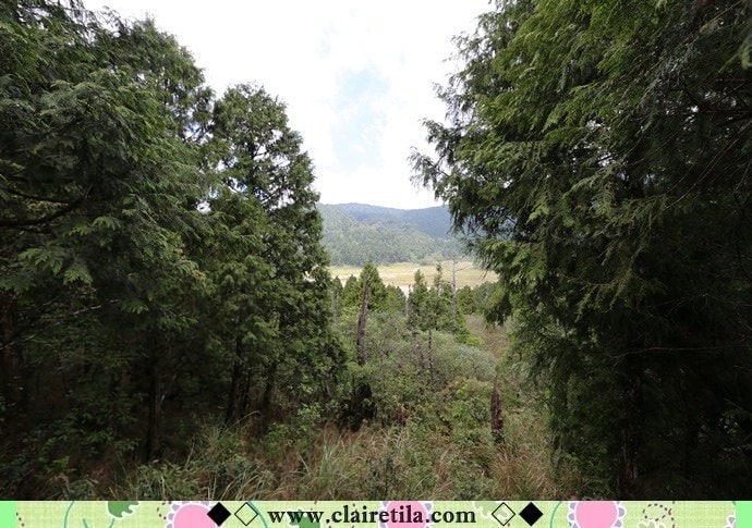 20251024-mq50g 20251024-mq50g