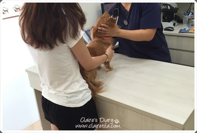 20251024-mv8bk 20251024-mv8bk