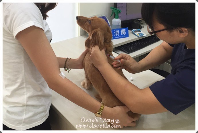 20251024-mzvt0 20251024-mzvt0