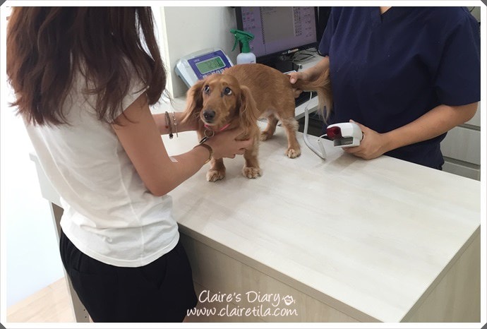 20251024-ozssi 20251024-ozssi