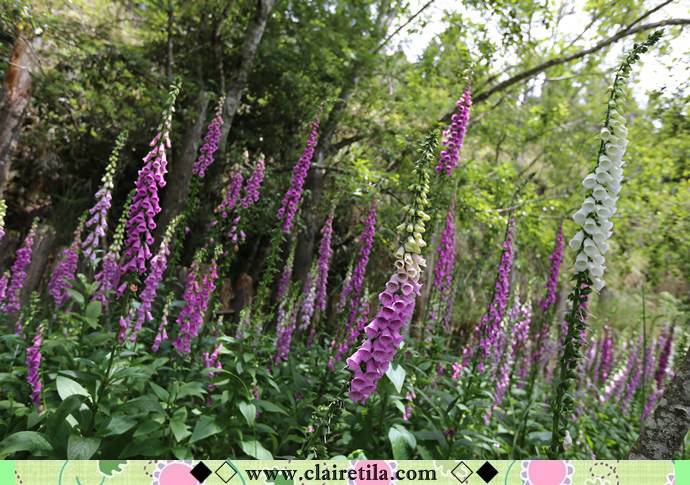 20251024-qw0kf 20251024-qw0kf