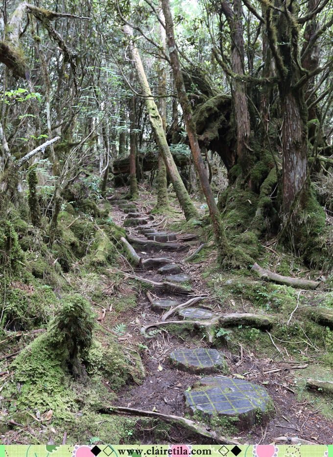 20251024-rn5io 20251024-rn5io