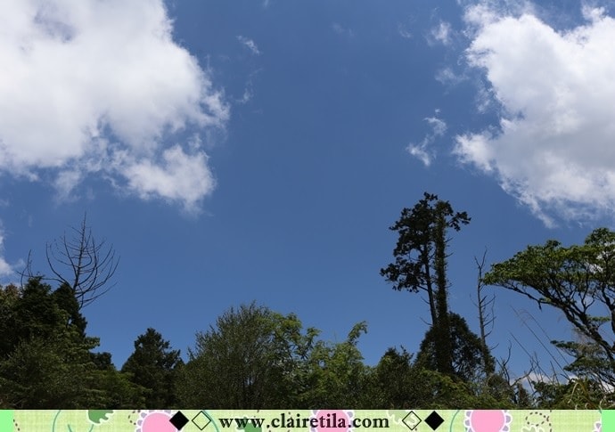 20251024-rqlbl 20251024-rqlbl