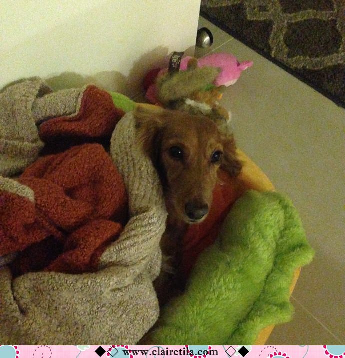 20251024-s30fj 20251024-s30fj