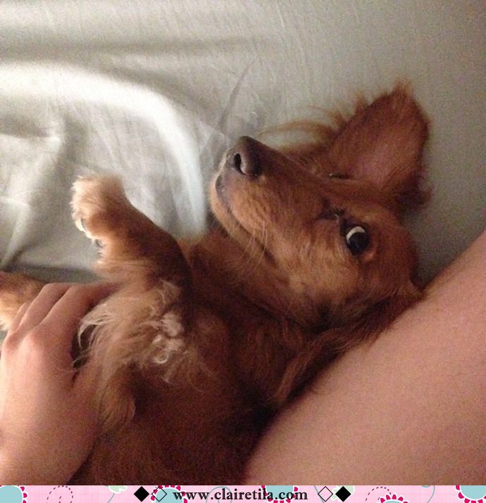 20251024-sp444 20251024-sp444