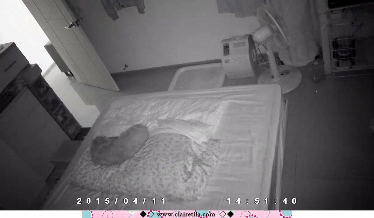 20251024-sximr 20251024-sximr