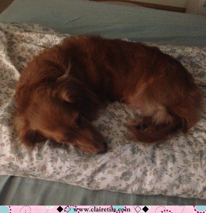 20251024-t9n5i 20251024-t9n5i