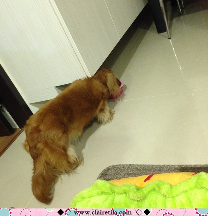 20251024-u7gyo 20251024-u7gyo