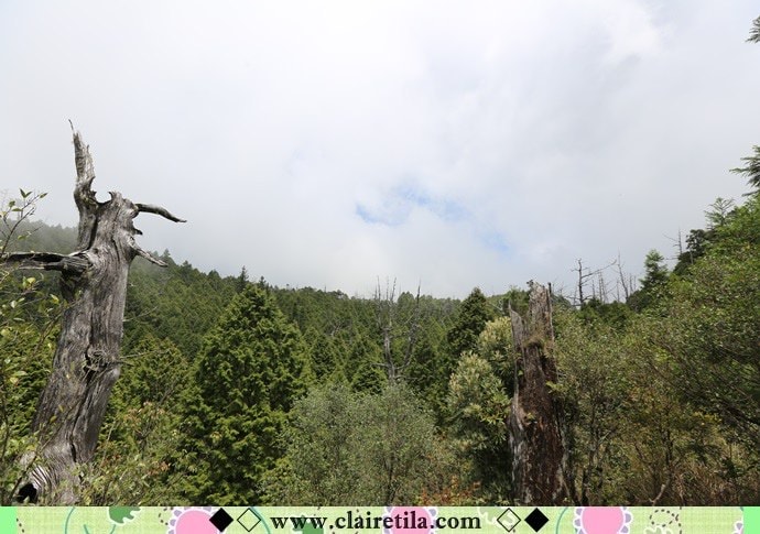 20251024-ud9cy 20251024-ud9cy