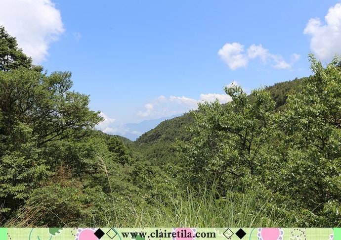 20251024-v0ti4 20251024-v0ti4