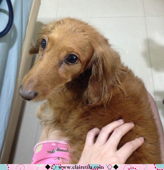 20251024-x3zcf 20251024-x3zcf