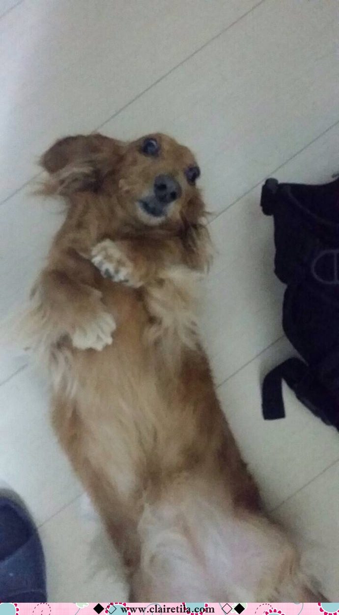 20251024-xefrn 20251024-xefrn