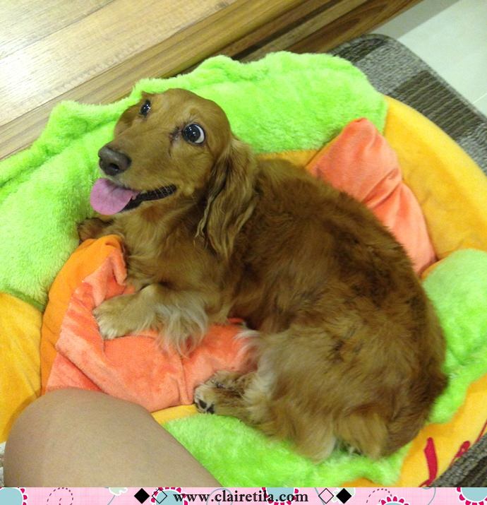 20251024-ykgwh 20251024-ykgwh