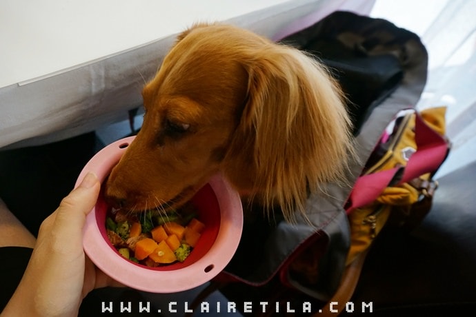 20251024-3kxhk 20251024-3kxhk