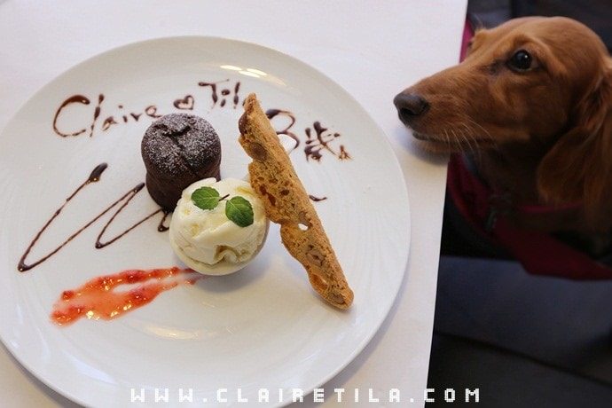 20251024-4c4pf 20251024-4c4pf