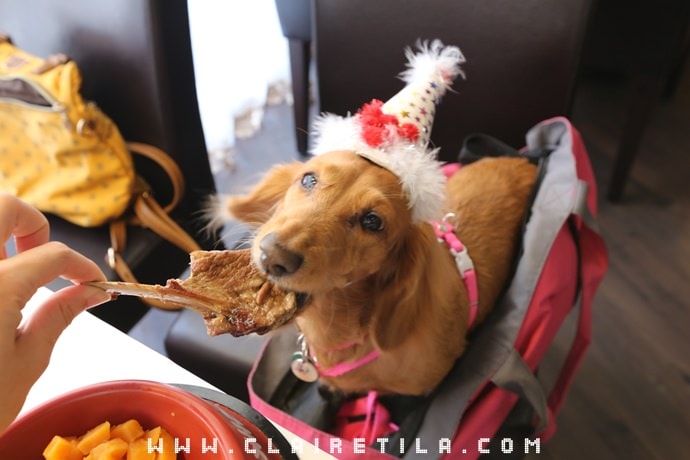 20251024-bcppi 20251024-bcppi