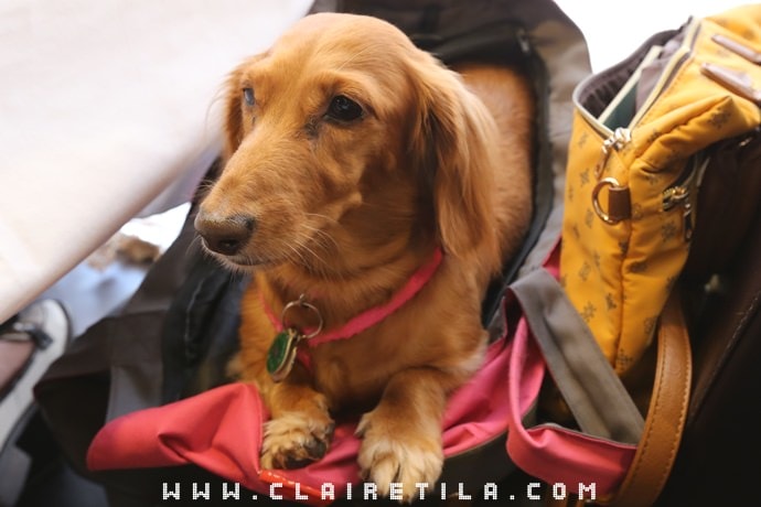 20251024-bvsjg 20251024-bvsjg