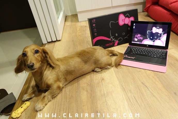 20251024-hal6l 20251024-hal6l