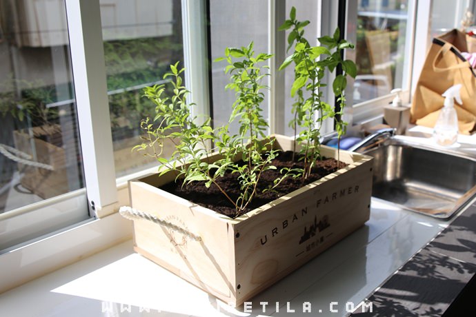 20251024-0mb73 20251024-0mb73