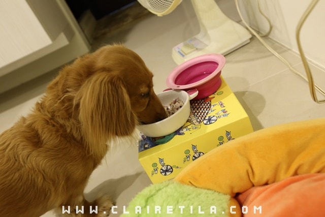 20251024-1as55 20251024-1as55