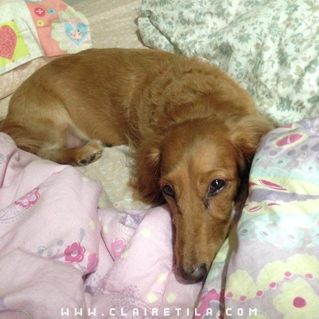 20251024-1as5z 20251024-1as5z