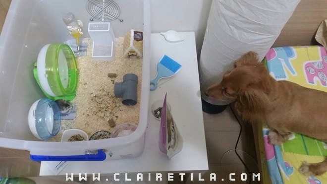 20251024-1badl 20251024-1badl