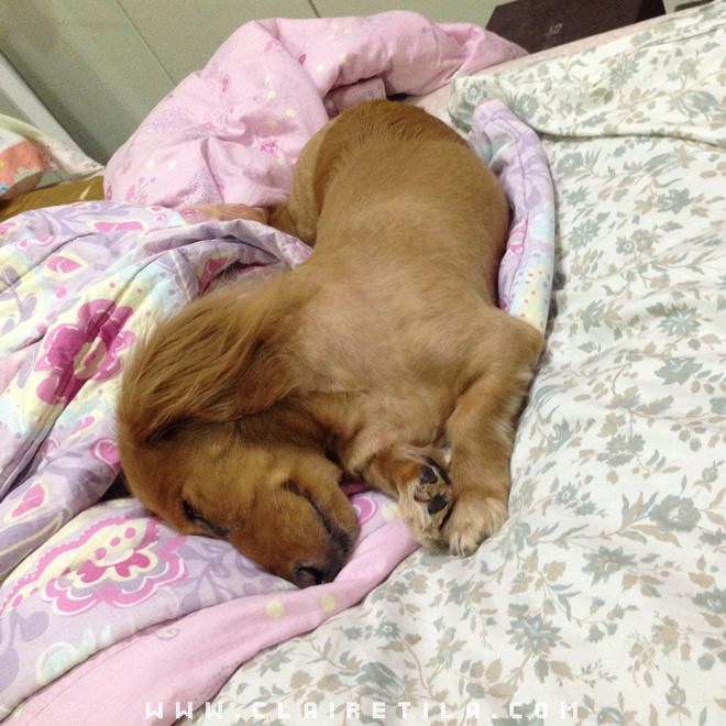 20251024-1m5aw 20251024-1m5aw