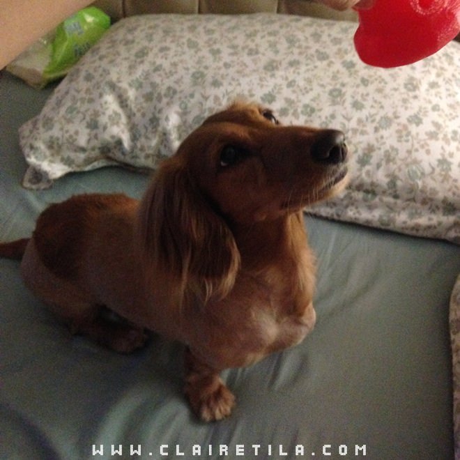 20251024-2b0jf 20251024-2b0jf