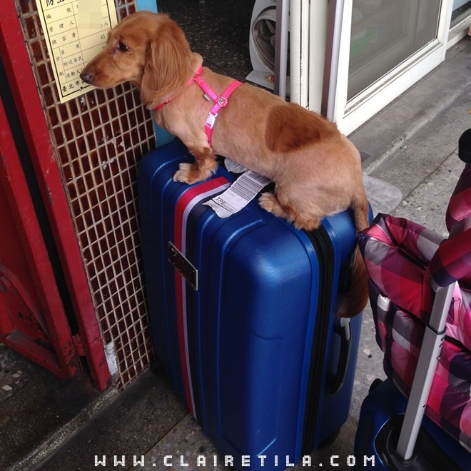 20251024-2o74t 20251024-2o74t