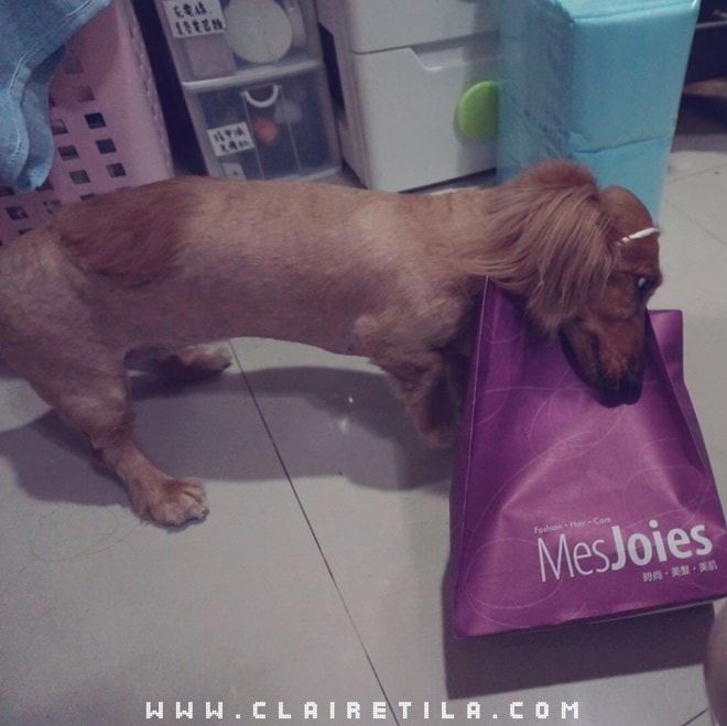 20251024-3vn8o 20251024-3vn8o