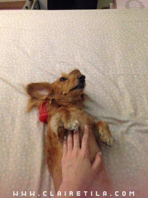 20251024-4860i 20251024-4860i