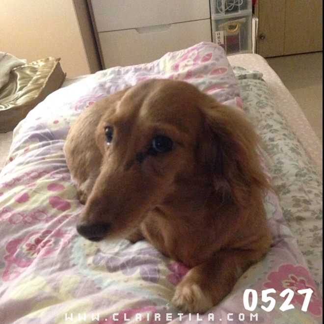 20251024-4rbpv 20251024-4rbpv