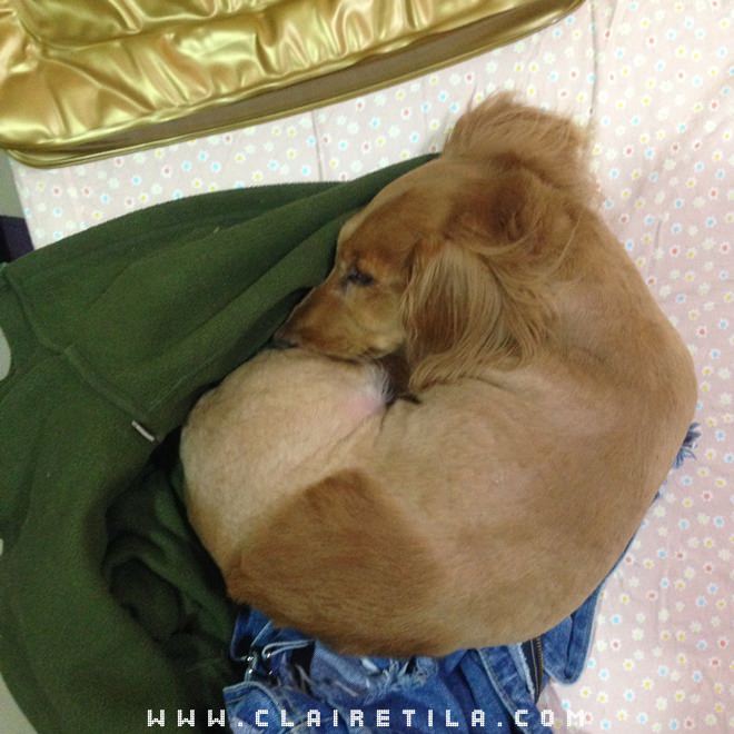 20251024-55q03 20251024-55q03