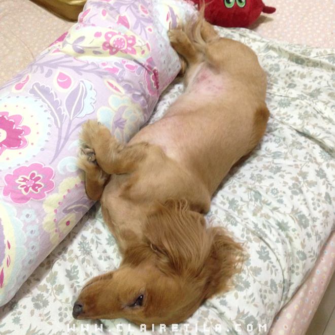 20251024-5zvhx 20251024-5zvhx