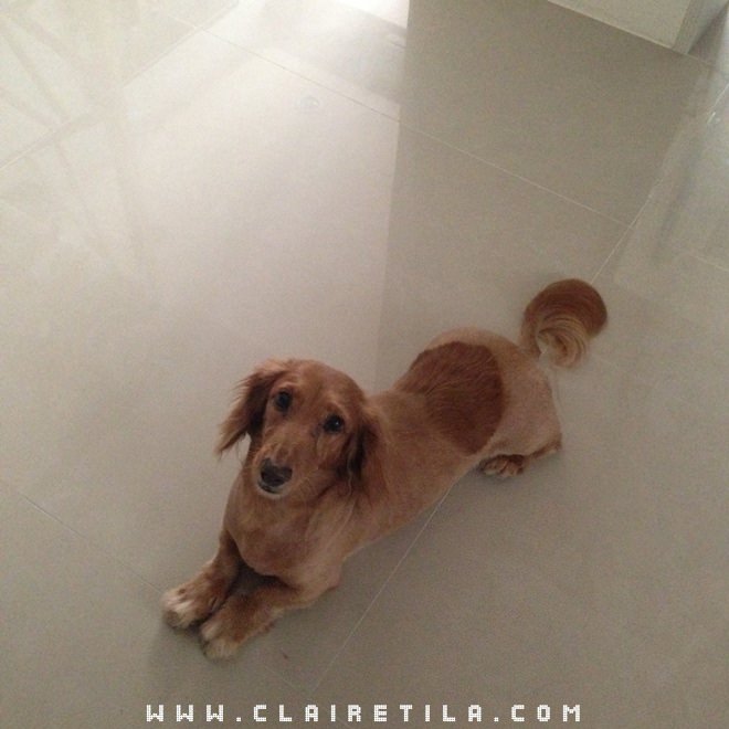 20251024-60vs2 20251024-60vs2