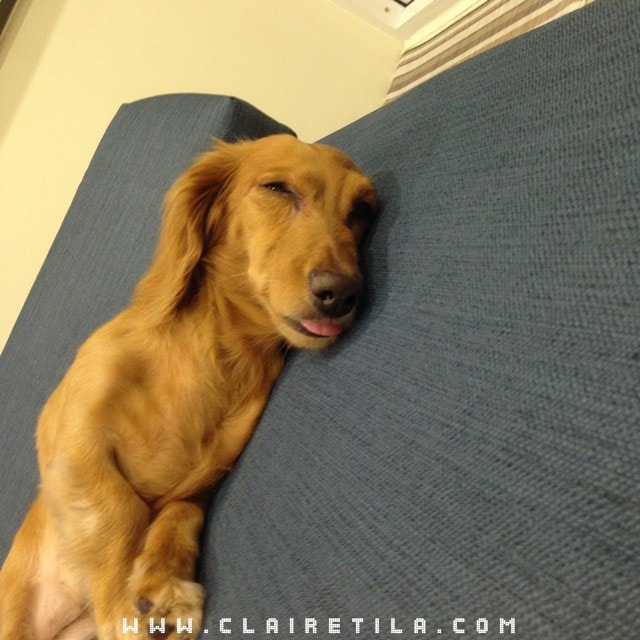 20251024-6tty9 20251024-6tty9