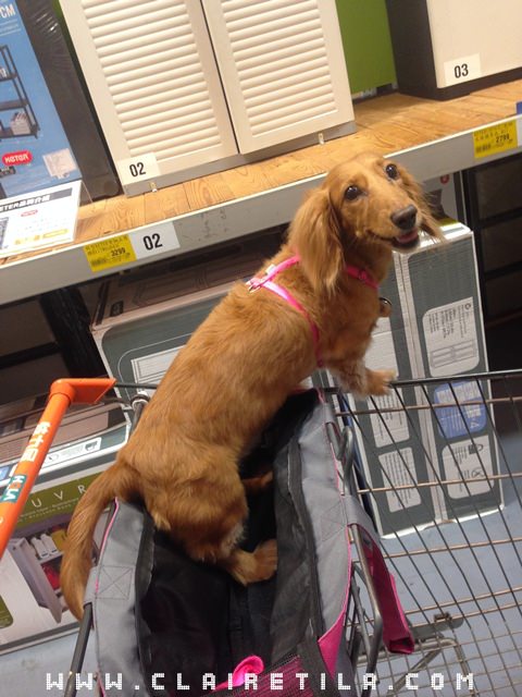 20251024-801ny 20251024-801ny