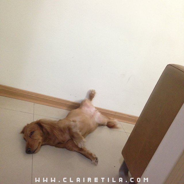 20251024-8dwqb 20251024-8dwqb