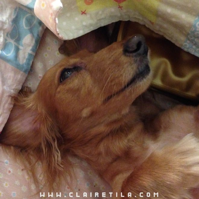 20251024-8nvc1 20251024-8nvc1