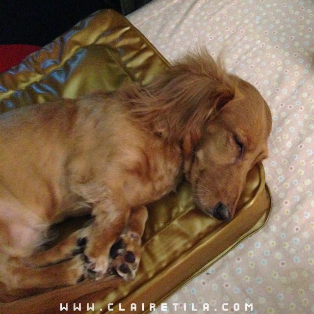 20251024-91ln7 20251024-91ln7