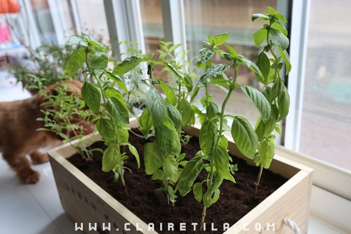 20251024-995li 20251024-995li