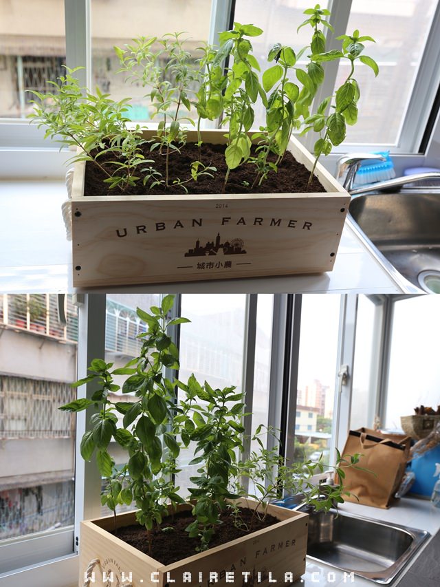 20251024-a4qqt 20251024-a4qqt