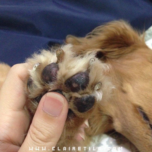 20251024-bdw51 20251024-bdw51