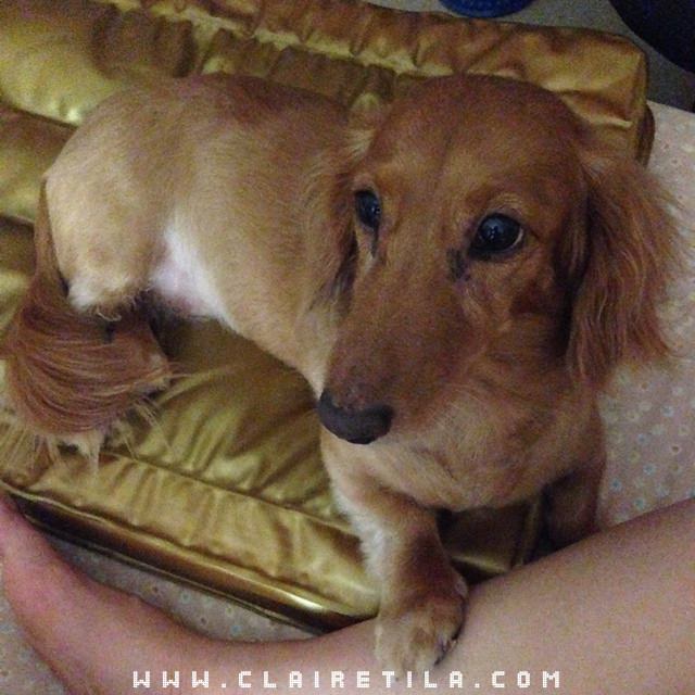 20251024-bmbfd 20251024-bmbfd