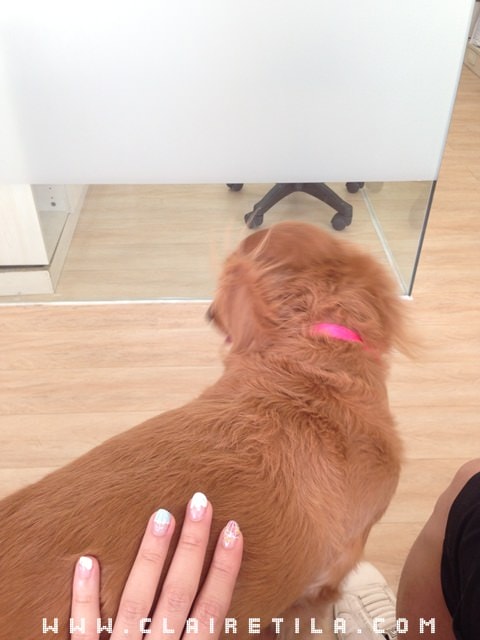 20251024-br8mk 20251024-br8mk