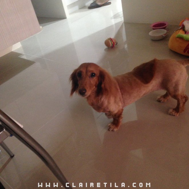 20251024-cm2ei 20251024-cm2ei