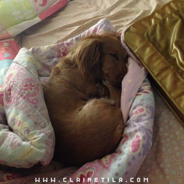 20251024-co9cv 20251024-co9cv