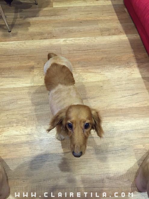 20251024-e5qua 20251024-e5qua