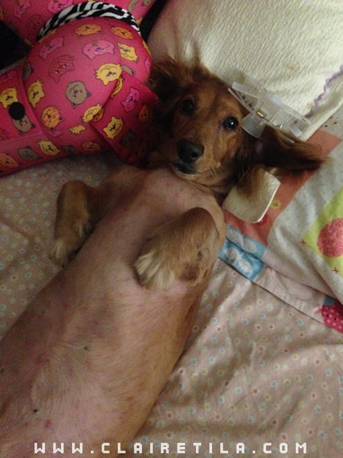 20251024-emnhv 20251024-emnhv