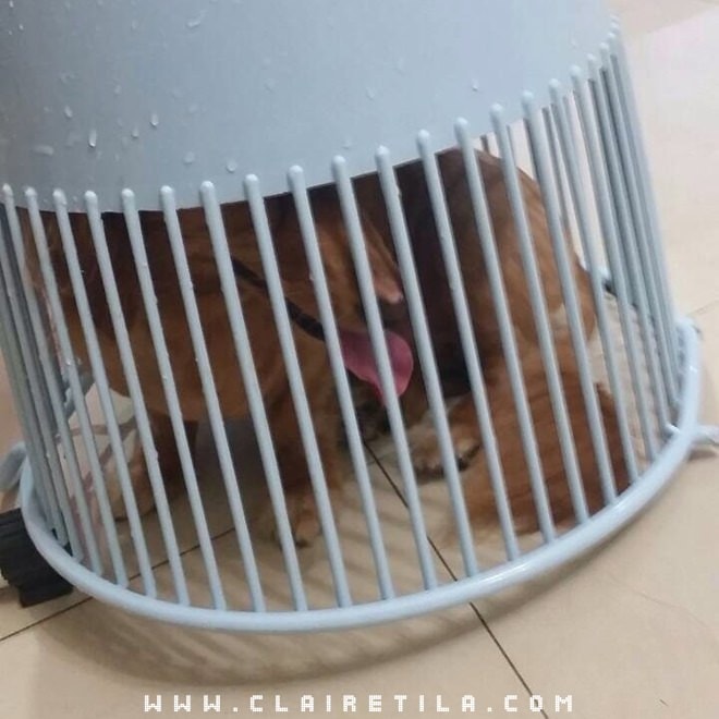 20251024-erkhg 20251024-erkhg